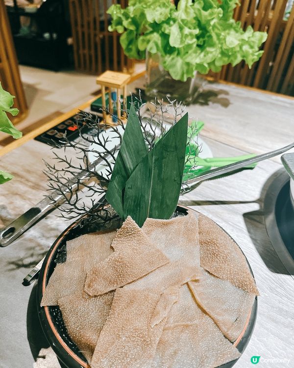 深圳必試椰子雞🔥  四季椰林羅湖店