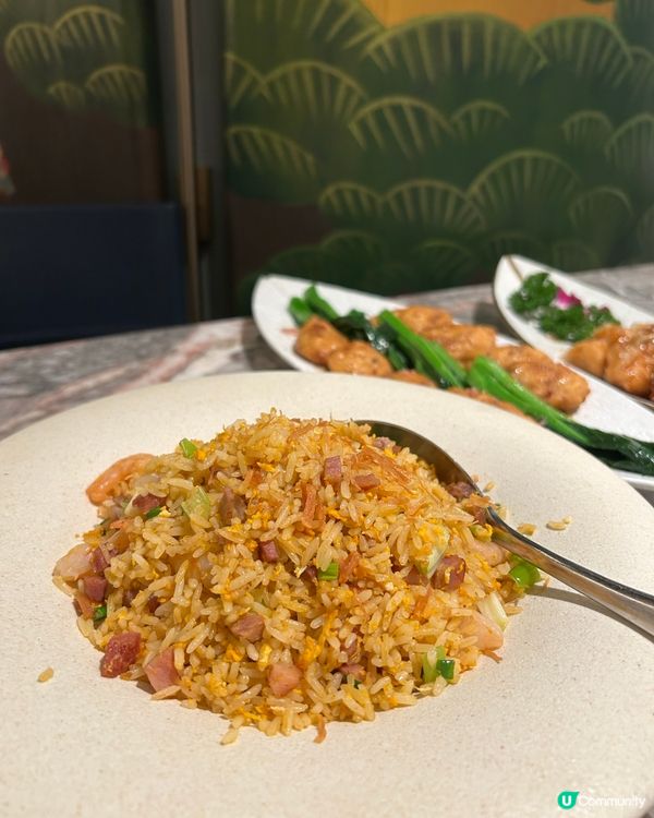 上陽樓🥢 大圍必食😋皇帝御膳房的味道