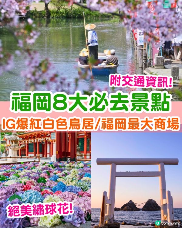 福岡8大必去景點🗺️絕美繡球花打卡/ IG爆紅白色鳥居/福岡最大購物商場🛍️附交通