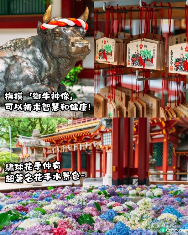 福岡8大必去景點🗺️絕美繡球花打卡/ IG爆紅白色鳥居/福岡最大購物商場🛍️附交通