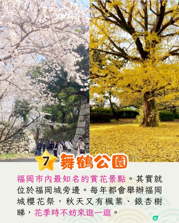 福岡8大必去景點🗺️絕美繡球花打卡/ IG爆紅白色鳥居/福岡最大購物商場🛍️附交通