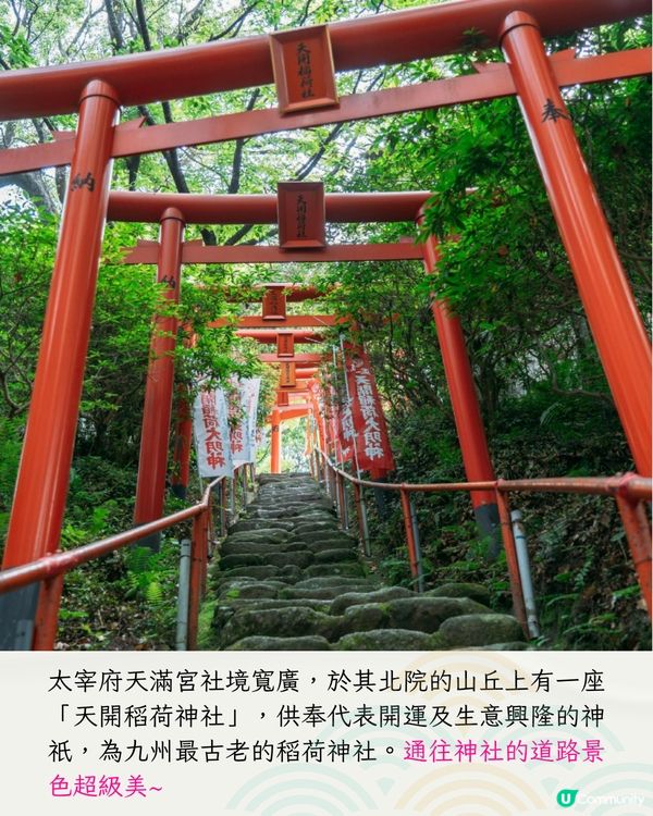 福岡8大必去景點🗺️絕美繡球花打卡/ IG爆紅白色鳥居/福岡最大購物商場🛍️附交通