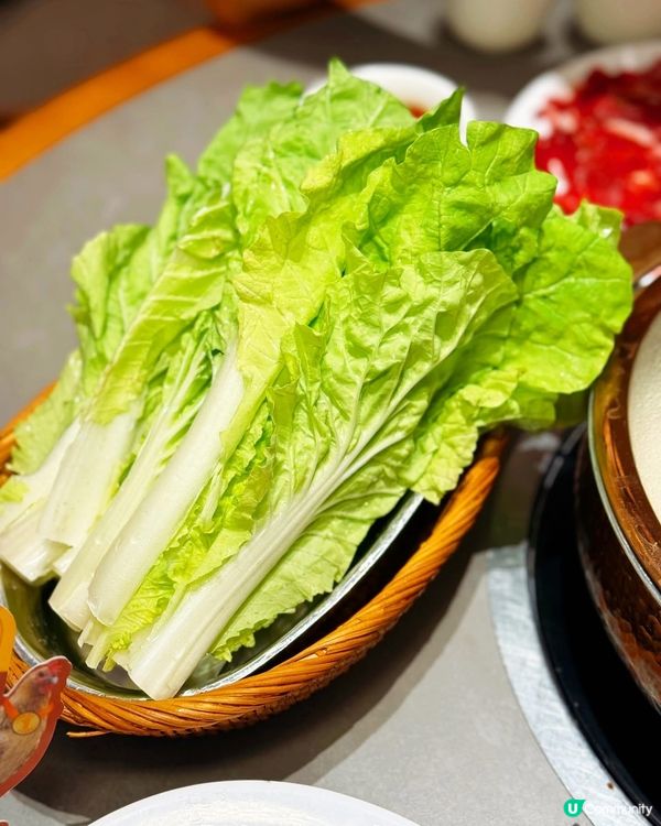 👑 深圳火鍋! 皇庭廣場必吃❣