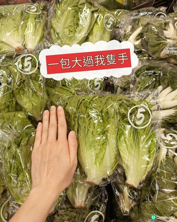 惠康 $5/包菜超抵買！🥬🛒