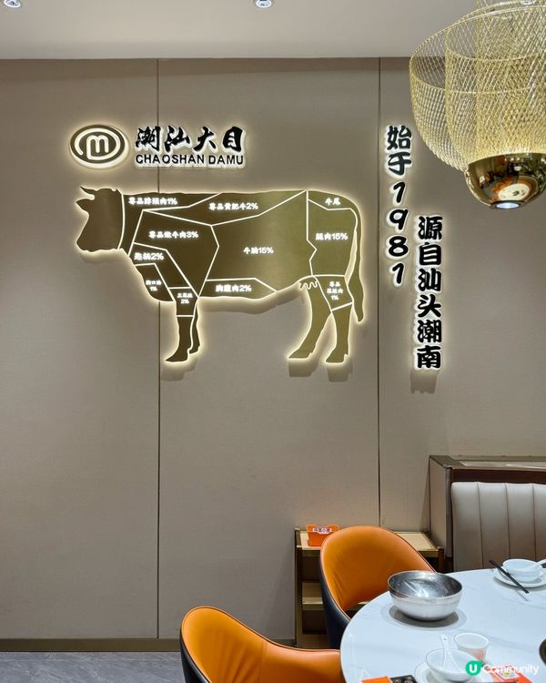 大目潮汕牛肉火鍋 | 鮮到舌尖的極致享受！🐮