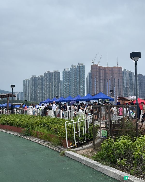 單車新手1小時完成！將軍澳跨灣大橋踩單車半日遊