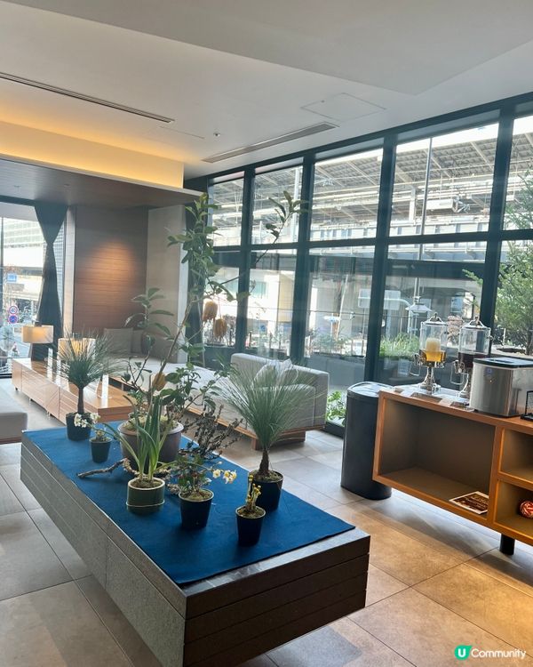 大和Roynet京都八條酒店機場巴士直達｜近激安殿堂