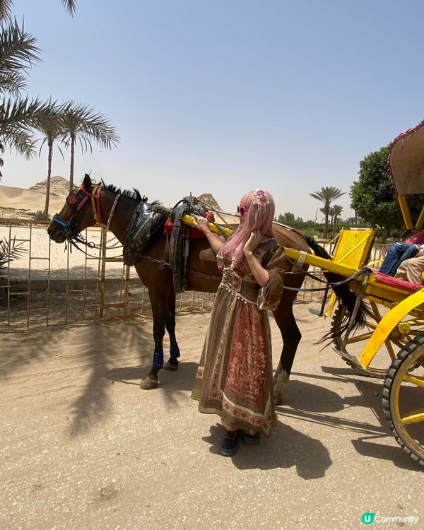 [埃及旅遊］埃及吉薩金字塔