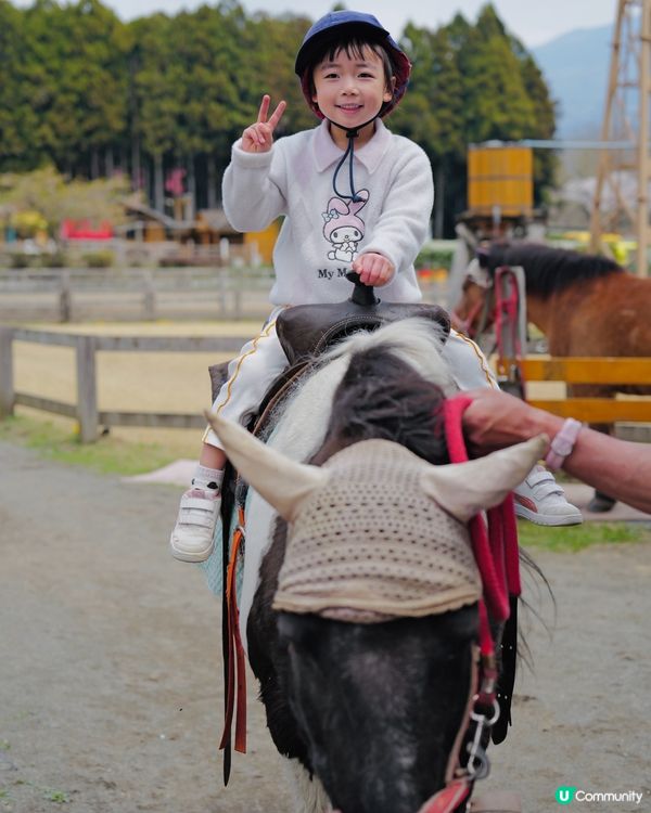 2025親子自駕遊｜富士山下打卡牧場之旅 🐮🌸 馬飼野牧場