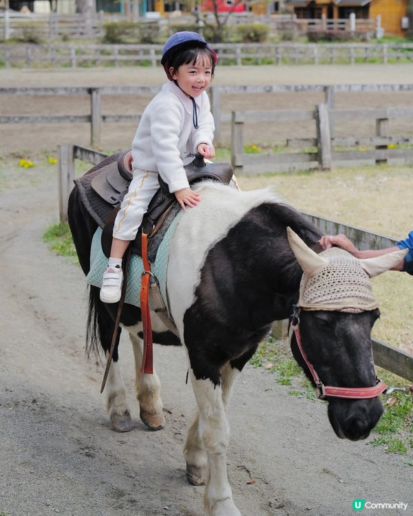 2025親子自駕遊｜富士山下打卡牧場之旅 🐮🌸 馬飼野牧場