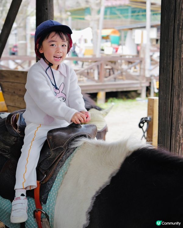 2025親子自駕遊｜富士山下打卡牧場之旅 🐮🌸 馬飼野牧場