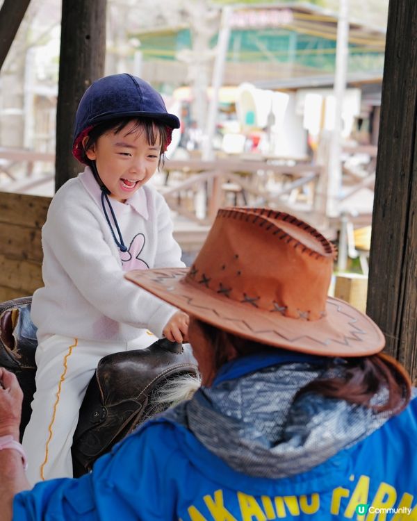 2025親子自駕遊｜富士山下打卡牧場之旅 🐮🌸 馬飼野牧場