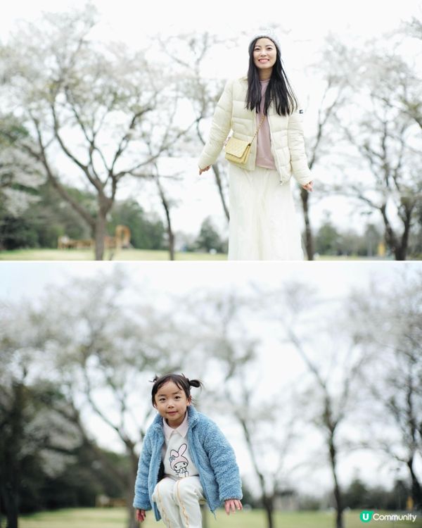 2025親子自駕遊｜富士山下打卡牧場之旅 🐮🌸 馬飼野牧場