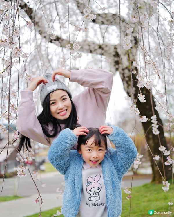 2025親子自駕遊｜富士山下打卡牧場之旅 🐮🌸 馬飼野牧場