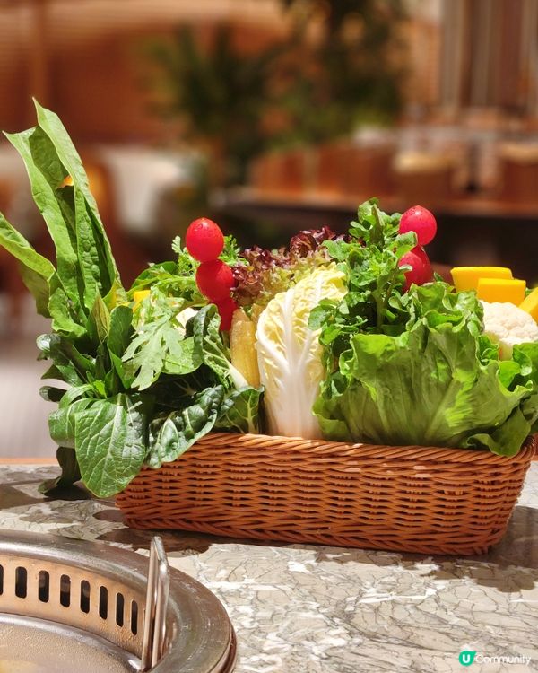 【節日慶祝好去處】養生火鍋｜打卡一流火鍋店✨️❤️