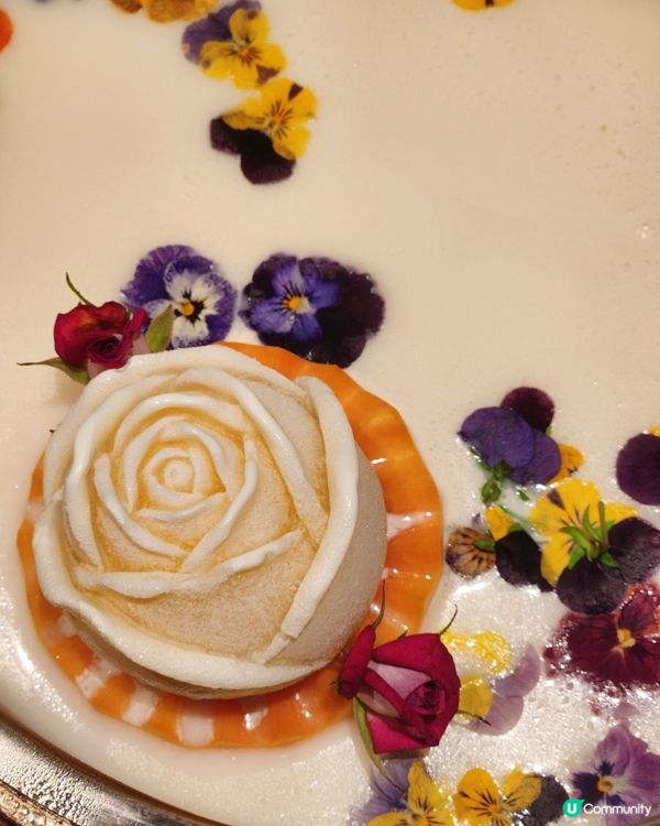 【節日慶祝好去處】養生火鍋｜打卡一流火鍋店✨️❤️