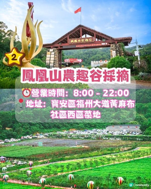 深圳水果園5大推介😋兩百畝田園/星空士多啤梨園/荔枝任摘任食‼️附採摘月份