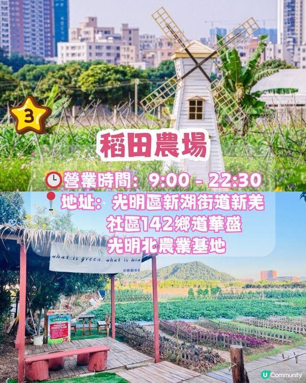深圳水果園5大推介😋兩百畝田園/星空士多啤梨園/荔枝任摘任食‼️附採摘月份