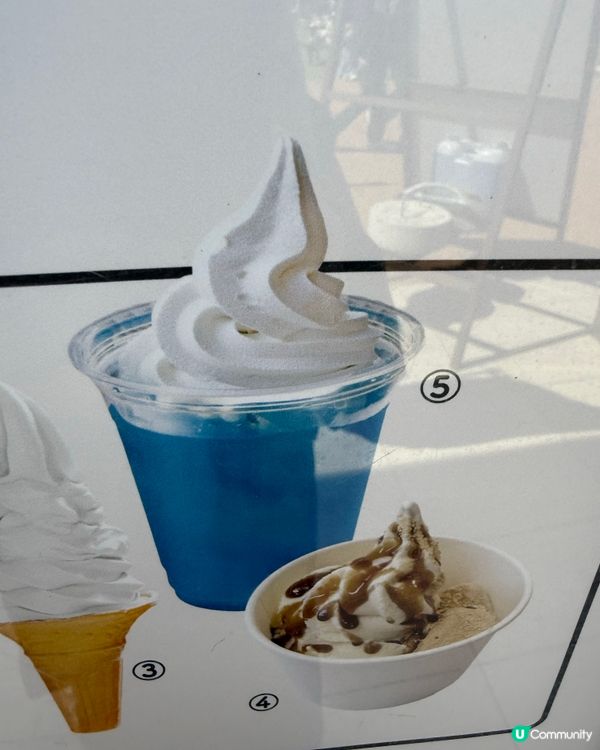 🌸河口湖芝櫻公園🌸 富士山美景配美食，打卡一流！