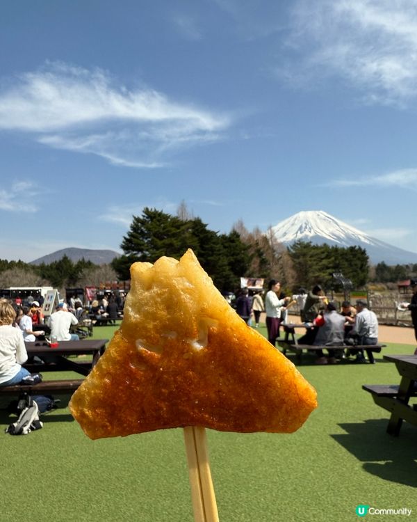 🌸河口湖芝櫻公園🌸 富士山美景配美食，打卡一流！