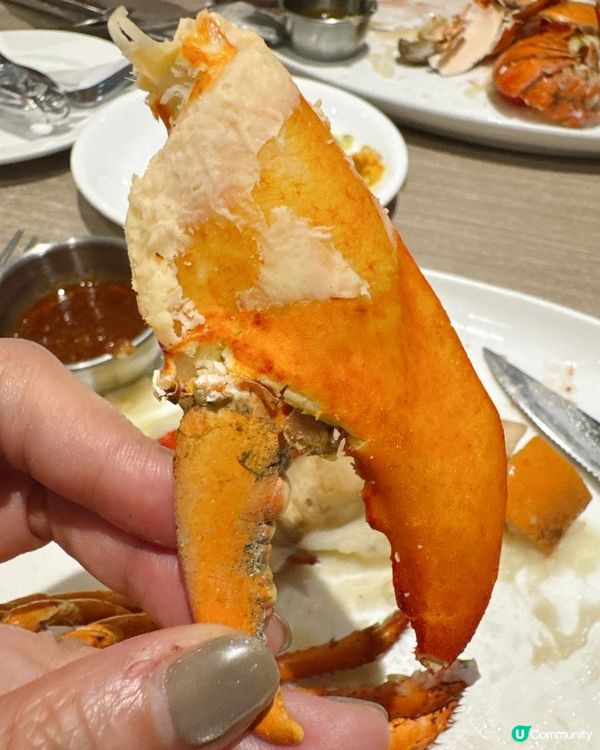 新鮮生蠔半自助餐🫶🏼