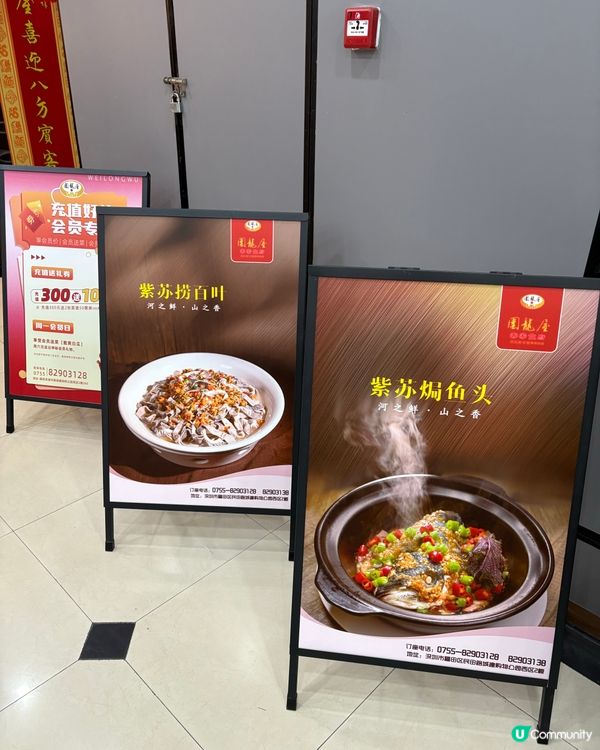 鄉村風味客家菜😋福田覓食之旅📸