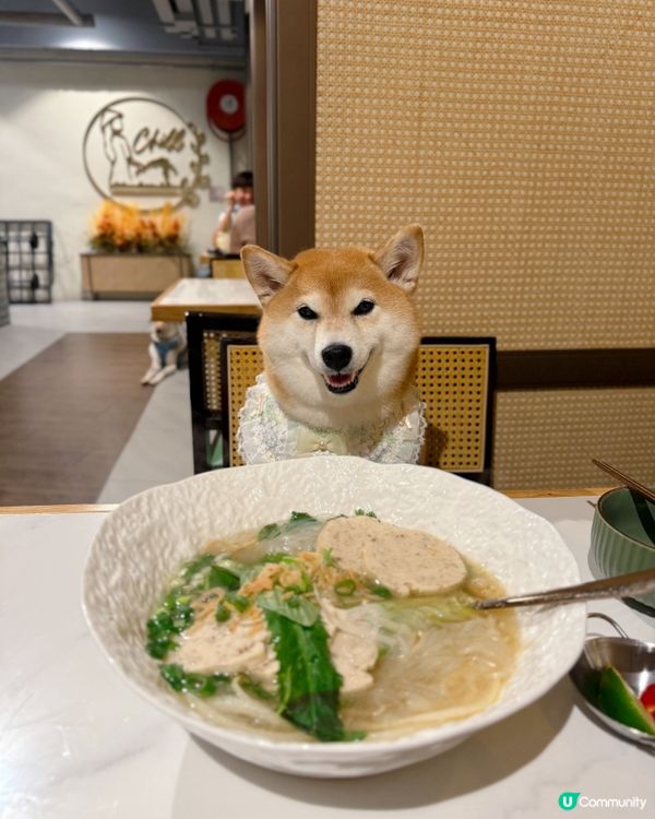 帶毛孩食越南菜