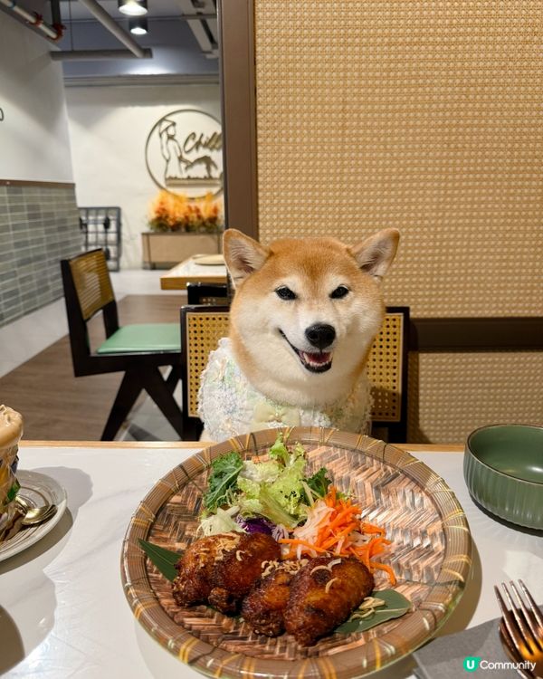 帶毛孩食越南菜