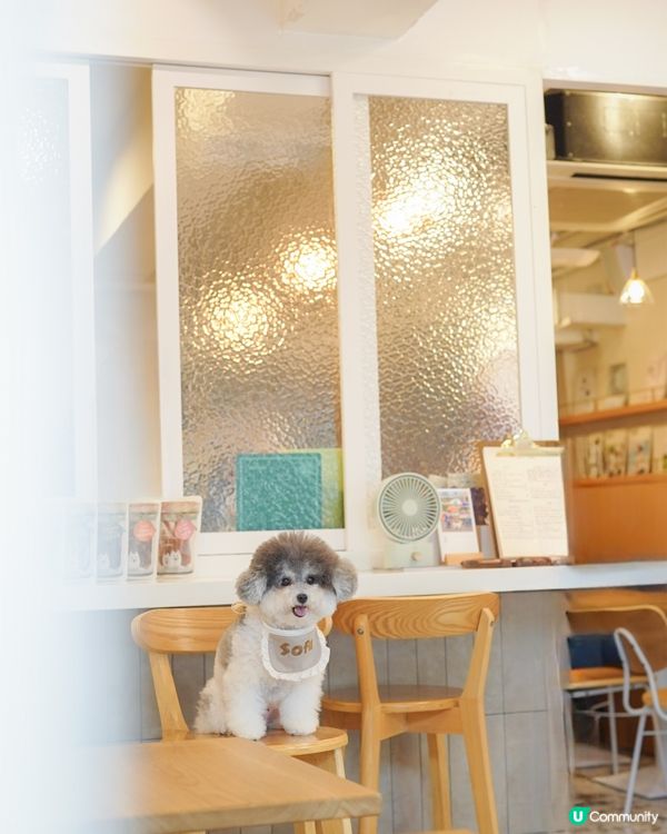 新✨ 大角咀人氣咖啡店登陸九龍城