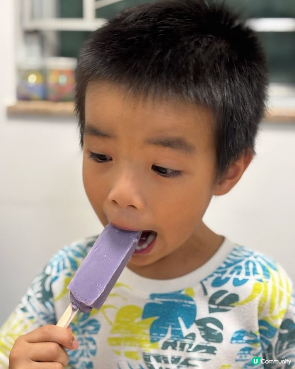 夏日冰箱必備呢款雪條