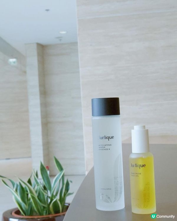 8+2 油養膚，肌膚水嫩亮澤 ✨