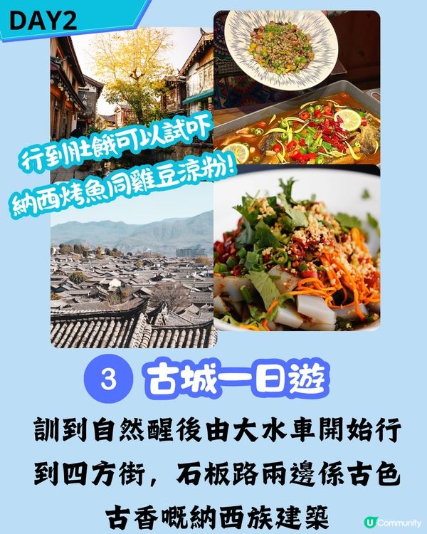 八日七夜雲南攻略 玩轉麗江/玉龍雪山/香格里拉 內附包車司機推薦‼️