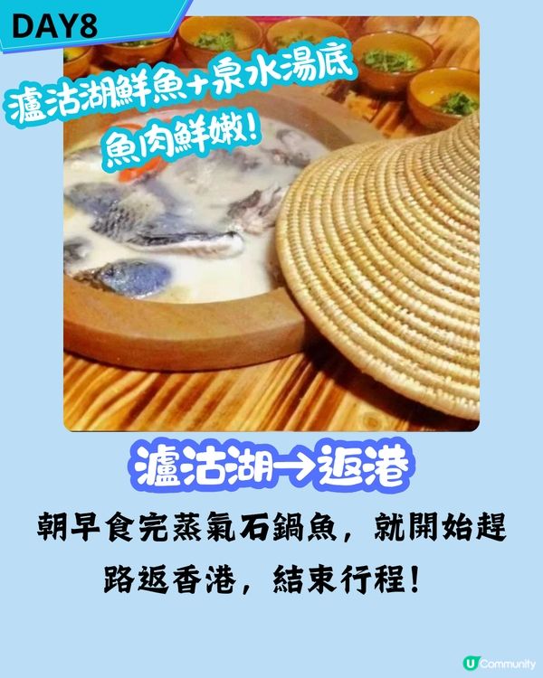 八日七夜雲南攻略 玩轉麗江/玉龍雪山/香格里拉 內附包車司機推薦‼️