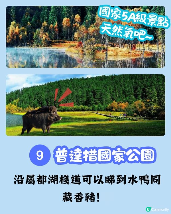 八日七夜雲南攻略 玩轉麗江/玉龍雪山/香格里拉 內附包車司機推薦‼️