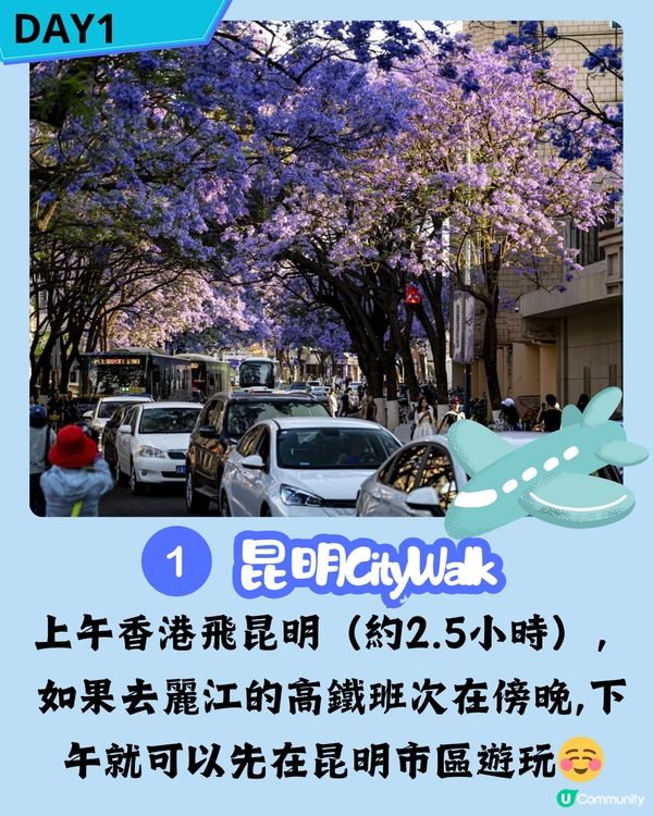 八日七夜雲南攻略 玩轉麗江/玉龍雪山/香格里拉 內附包車司機推薦‼️