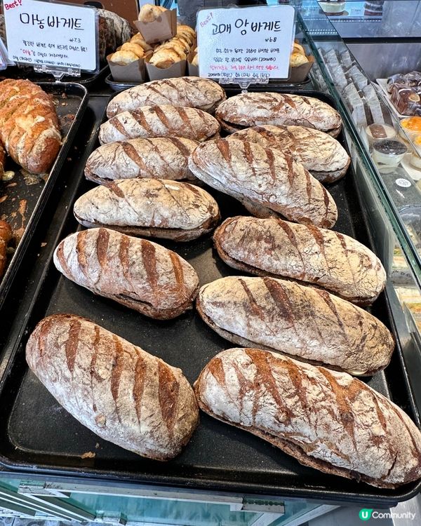 🇰🇷濟州島超人氣麵包店！蒜蓉法包控必去💥 無得輸！