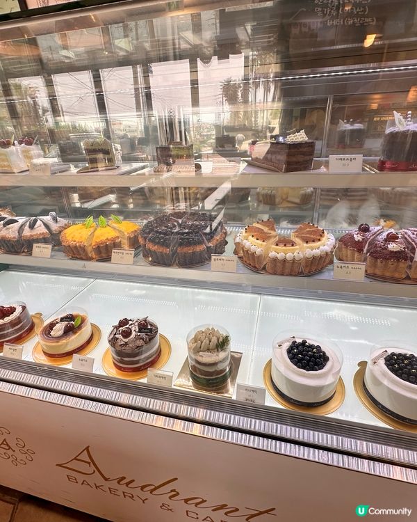 🇰🇷濟州島超人氣麵包店！蒜蓉法包控必去💥 無得輸！