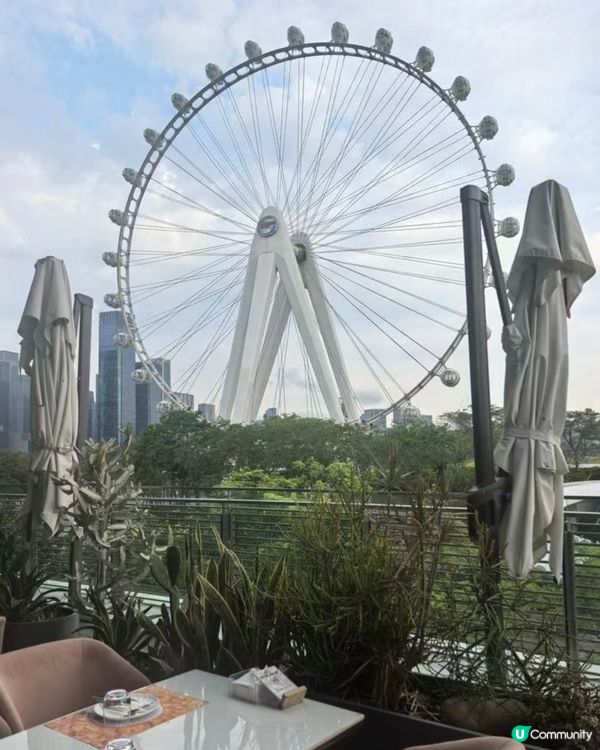 🌸浪漫洞穴餐廳打卡！深圳歡樂港灣必去！