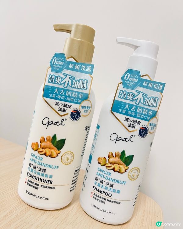 🔥【Opal生薑洗髮水真人實測】油頭妹變身韓系空氣感少女!