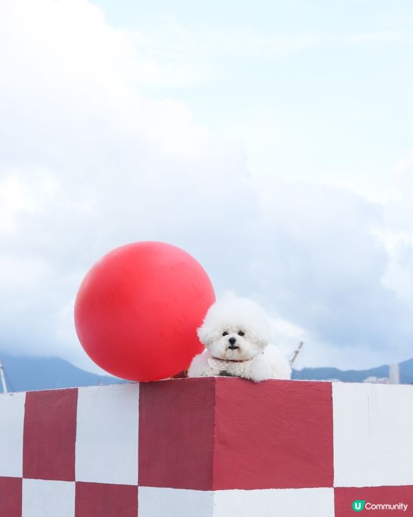 happy birthday to me❤️❤️