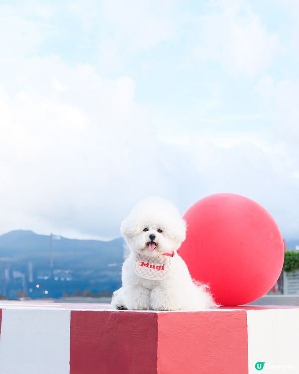 happy birthday to me❤️❤️