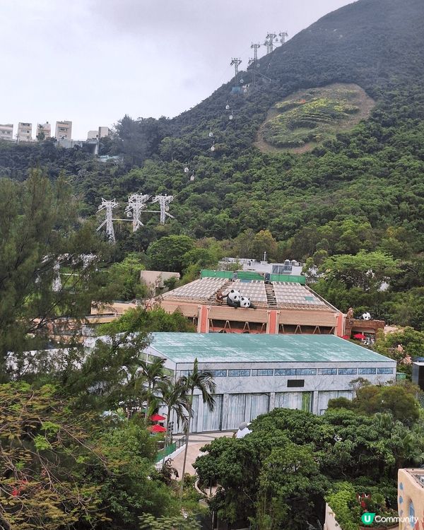 假日family day帶埋一屋大小去海洋公園探兩姐弟，由天...