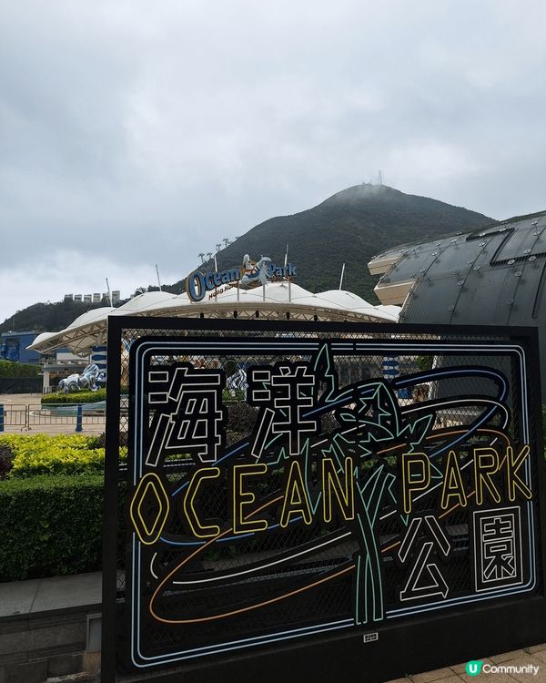 假日family day帶埋一屋大小去海洋公園探兩姐弟，由天...