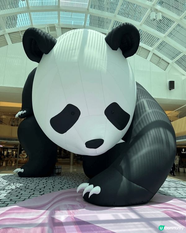 馬鞍山新港城有熊貓展覽，仲有隻10米大既熊貓公仔，打卡一流，...