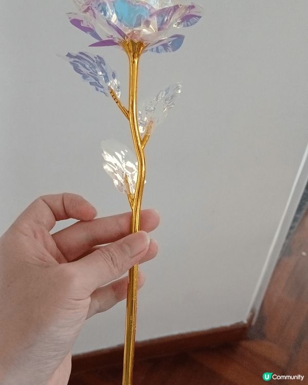 母親節大家都應該有好多唔同既活動，去行街食飯睇戲，我阿媽就話...