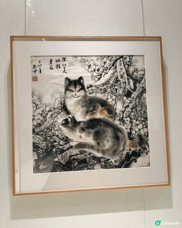 深圳美術館新館✨打卡熱點！附詳細的交通方式😇