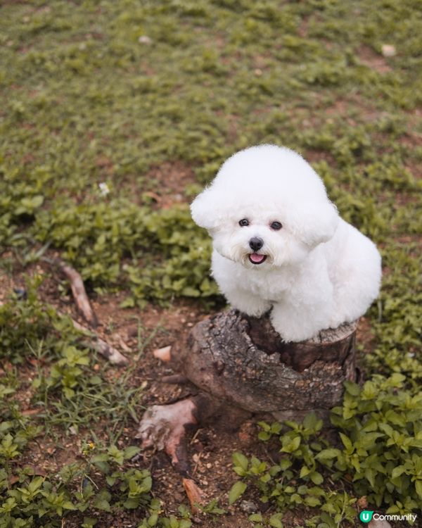 將軍澳打卡秘境❤️‍🔥