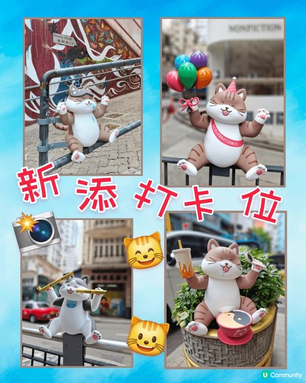 打卡位再添打卡位😺😸貓貓新地標登場