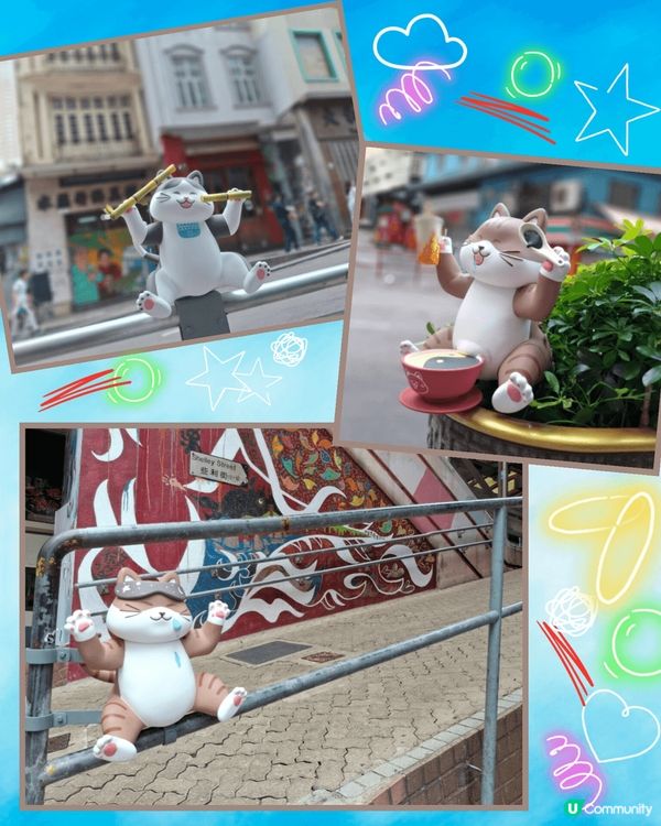 打卡位再添打卡位😺😸貓貓新地標登場