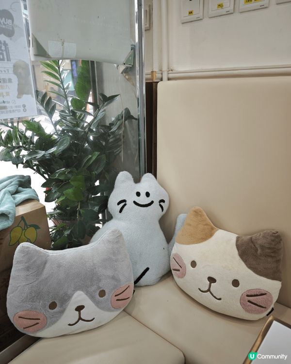 聽聞屯門有間甜品鋪成日都要排隊等位，今日就專程揸車嚟試試佢🔅...